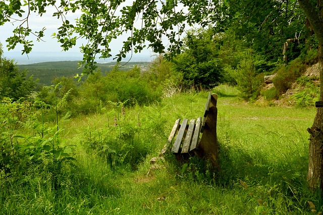 移动直播的 移动直播的