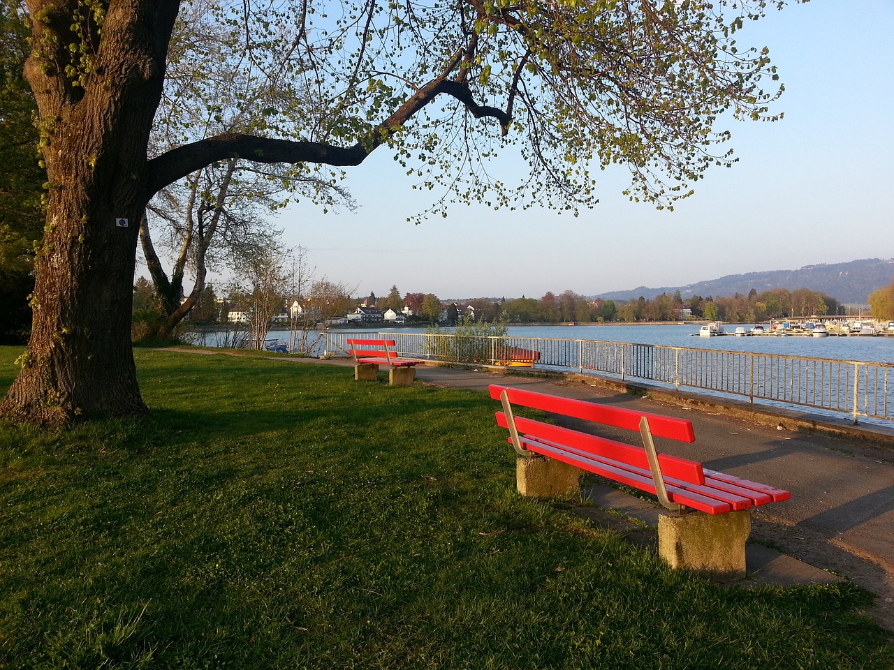 校园足球文 校园足球文