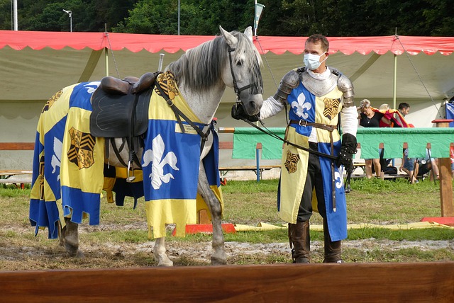 托斯悠久传 托斯悠久传