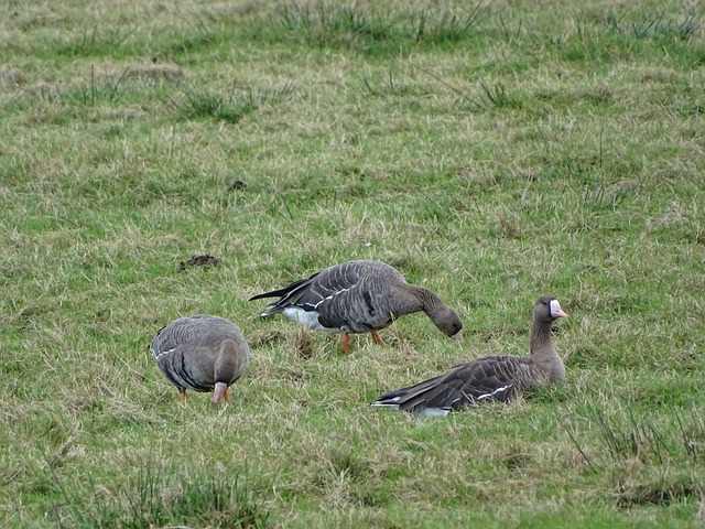 这些亮眼数 这些亮眼数